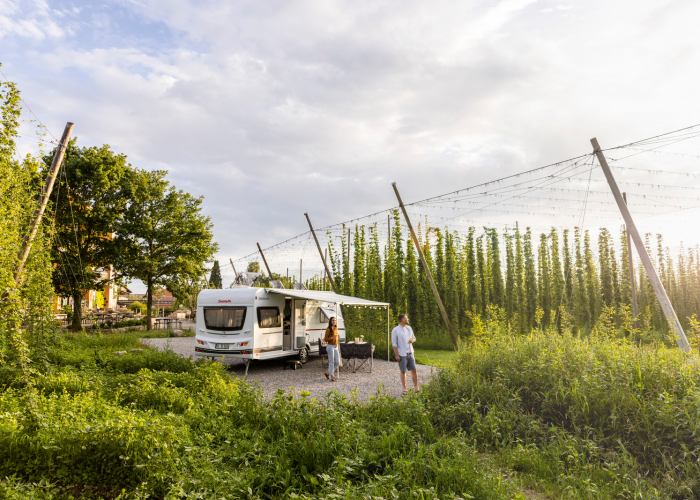 Uitgelichte afbeeldingen